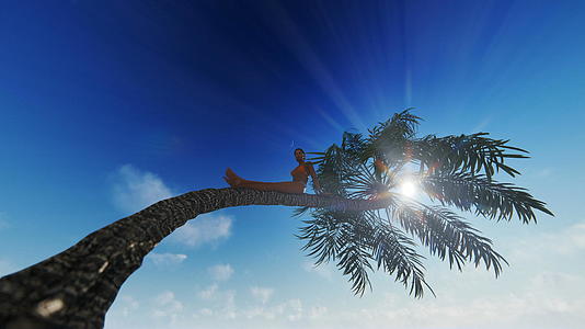 坐在棕榈树上面对蓝天面对着4000视频的预览图