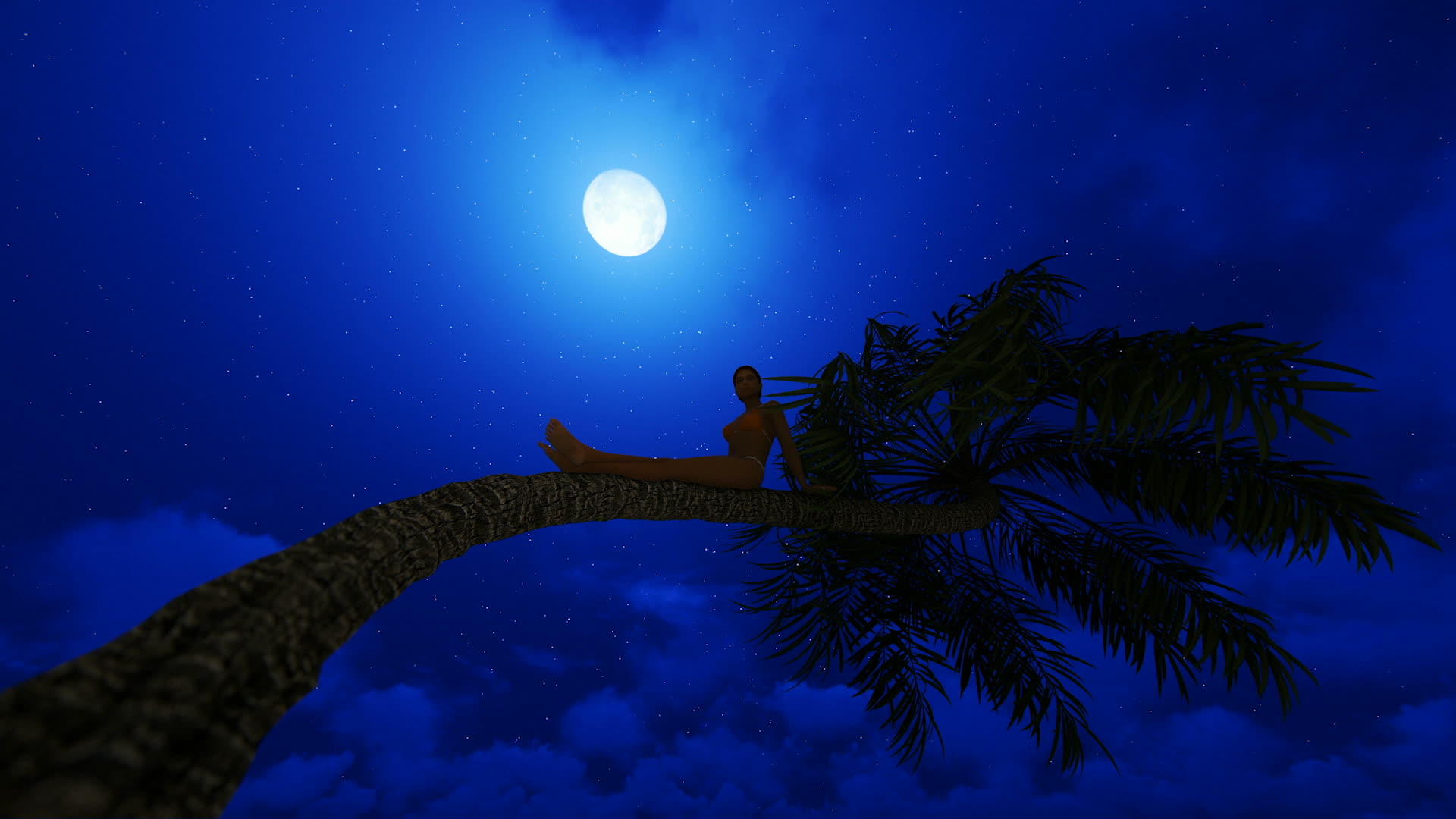 年轻女子坐在棕榈树上满月面对着星空hd视频的预览图