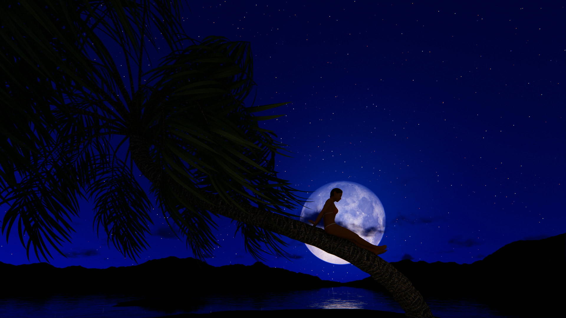 满月坐在海滩上的棕榈树上面对着星空k视频的预览图