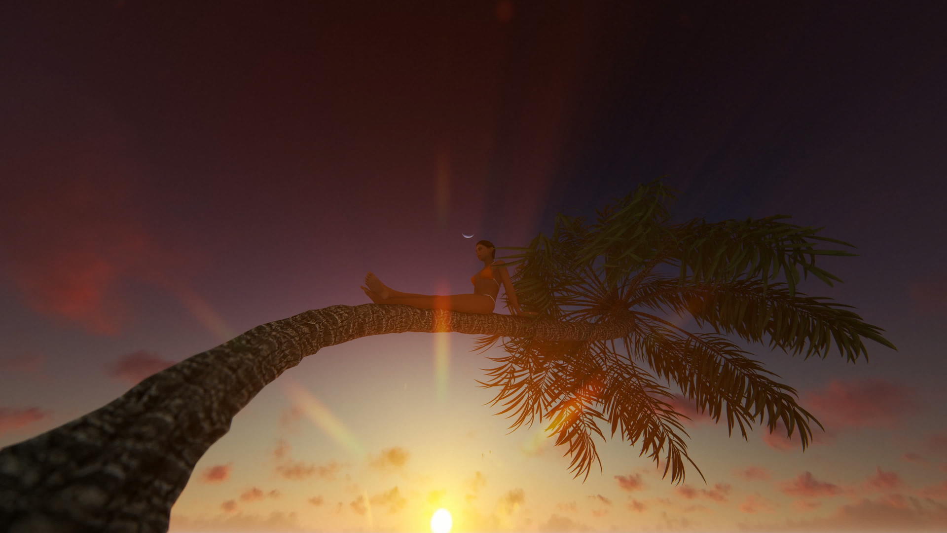 坐在棕榈树上面对美丽的日落约4公里视频的预览图