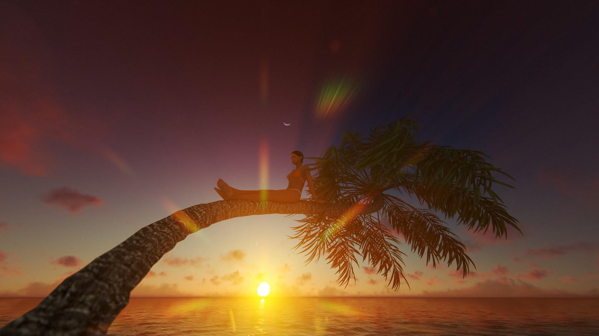 面对美丽的日出4公里坐在水面棕榈树上的年轻女子视频的预览图