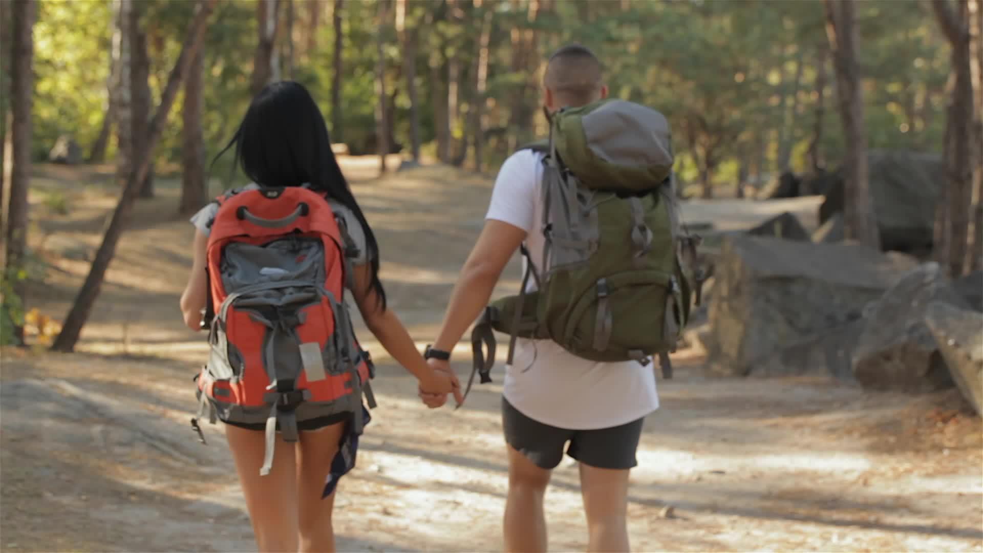 两名徒步旅行者继续在森林中行走视频的预览图