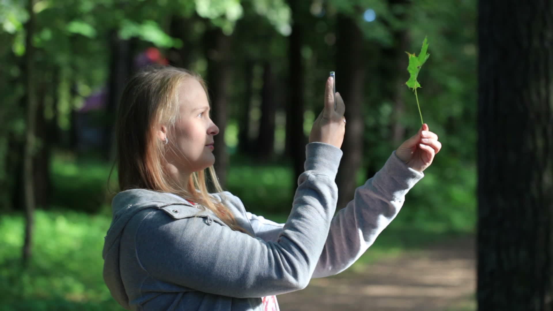 年轻女性拍摄树叶照片视频的预览图