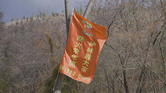 森林防火标志旗帜随风飘荡冬季视频的预览图