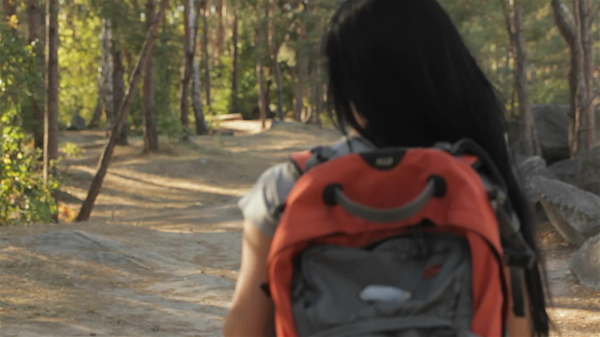 女性徒步旅行者在森林中的姿势视频的预览图
