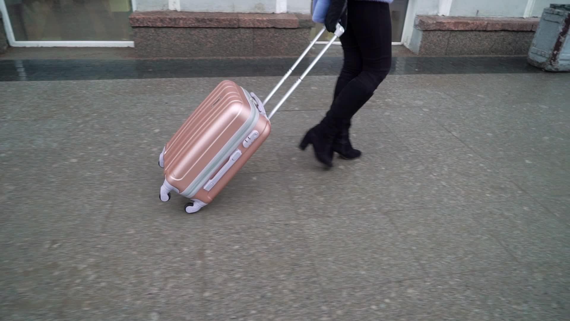 女性携带粉色手提箱视频的预览图
