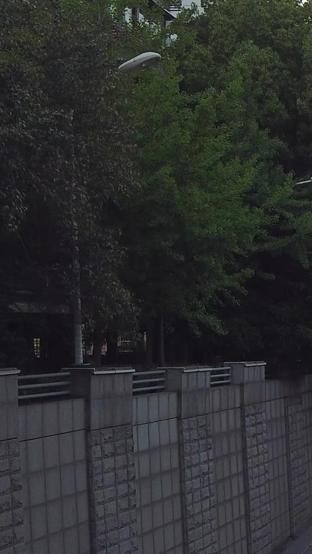 武汉地标建筑黄鹤楼城市交通交通交通延迟摄影视频的预览图