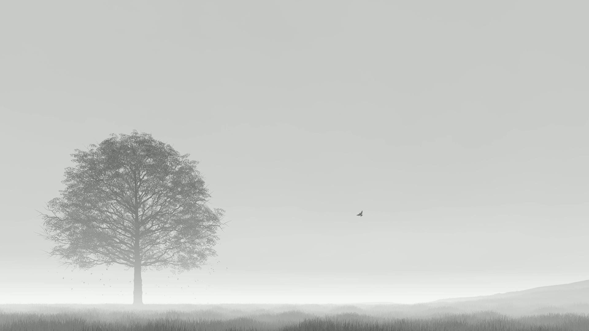 黑白意境树视频的预览图