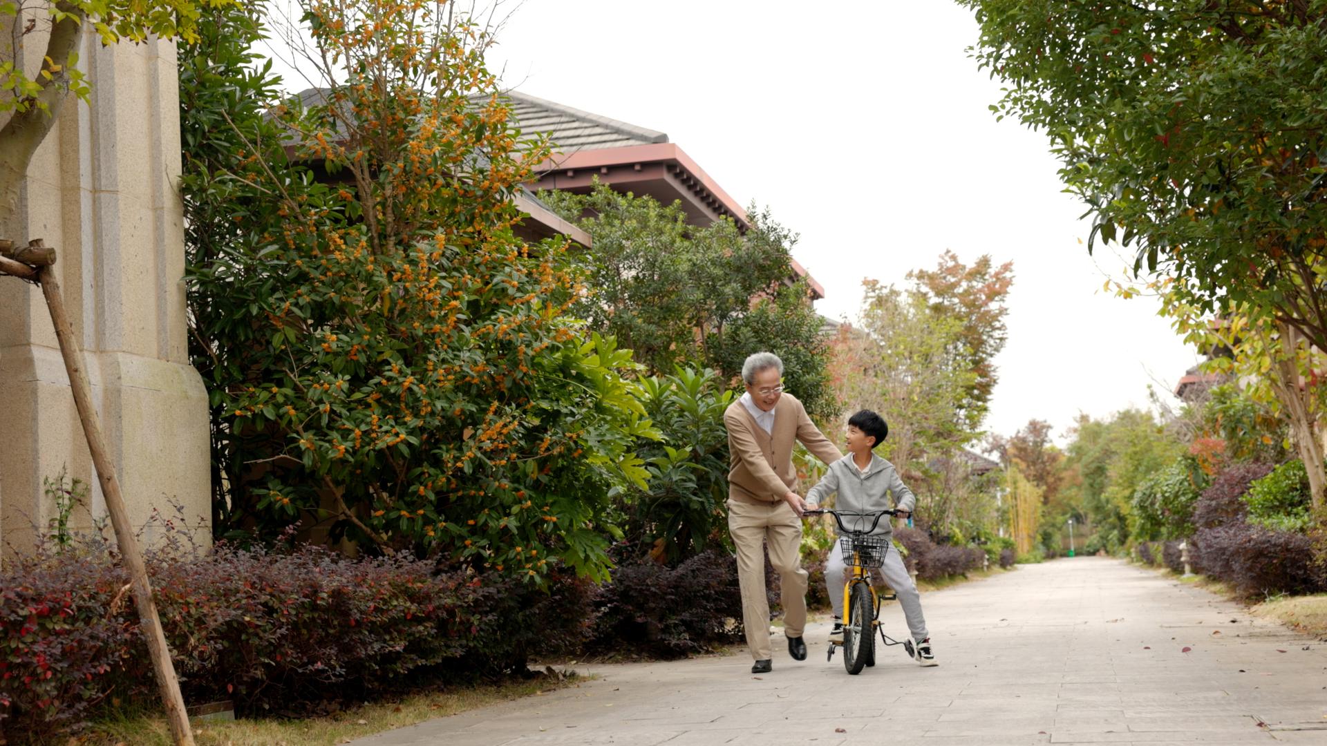 爷爷在公园教孙子骑自行车视频的预览图