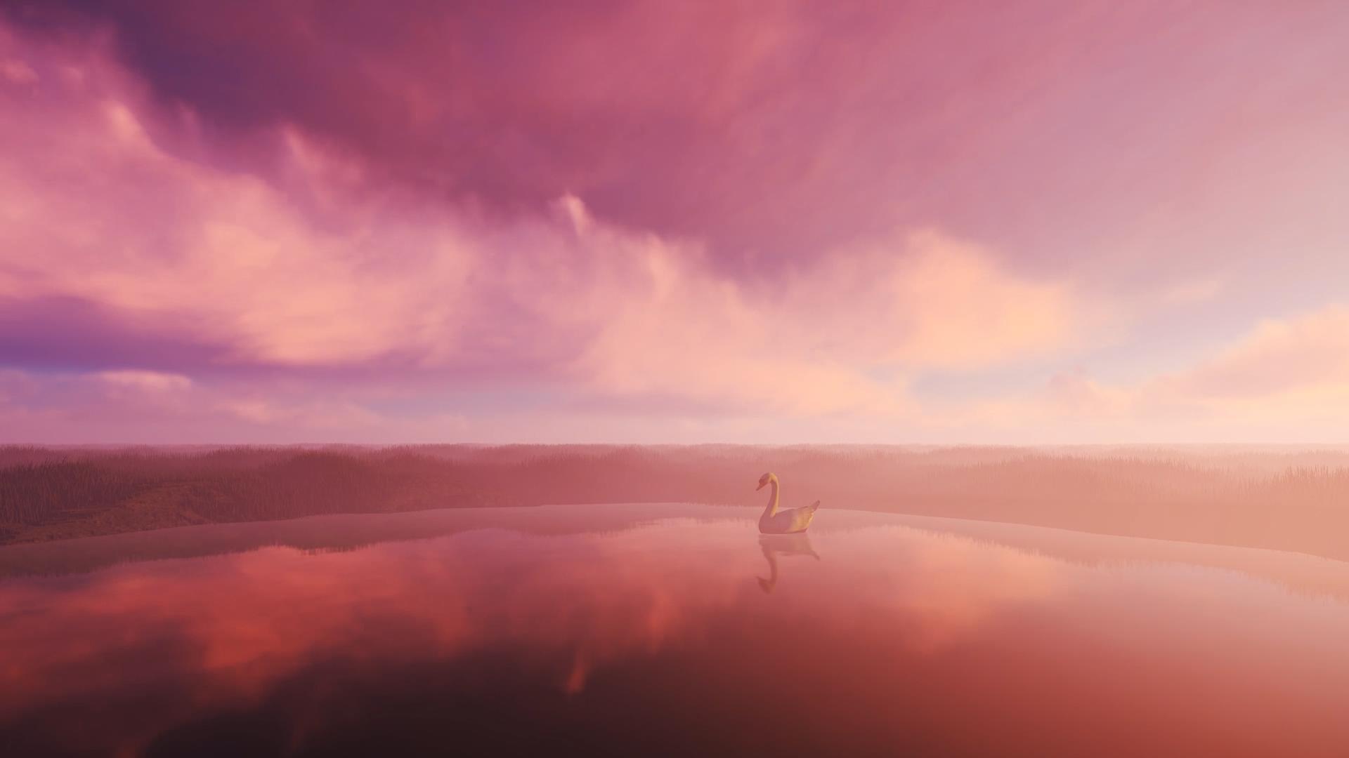唯美天鹅湖视频的预览图
