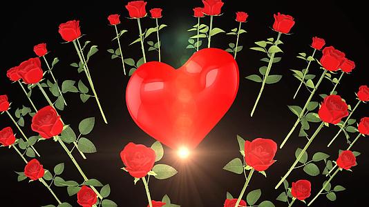情人节爱心环绕红玫瑰视频的预览图