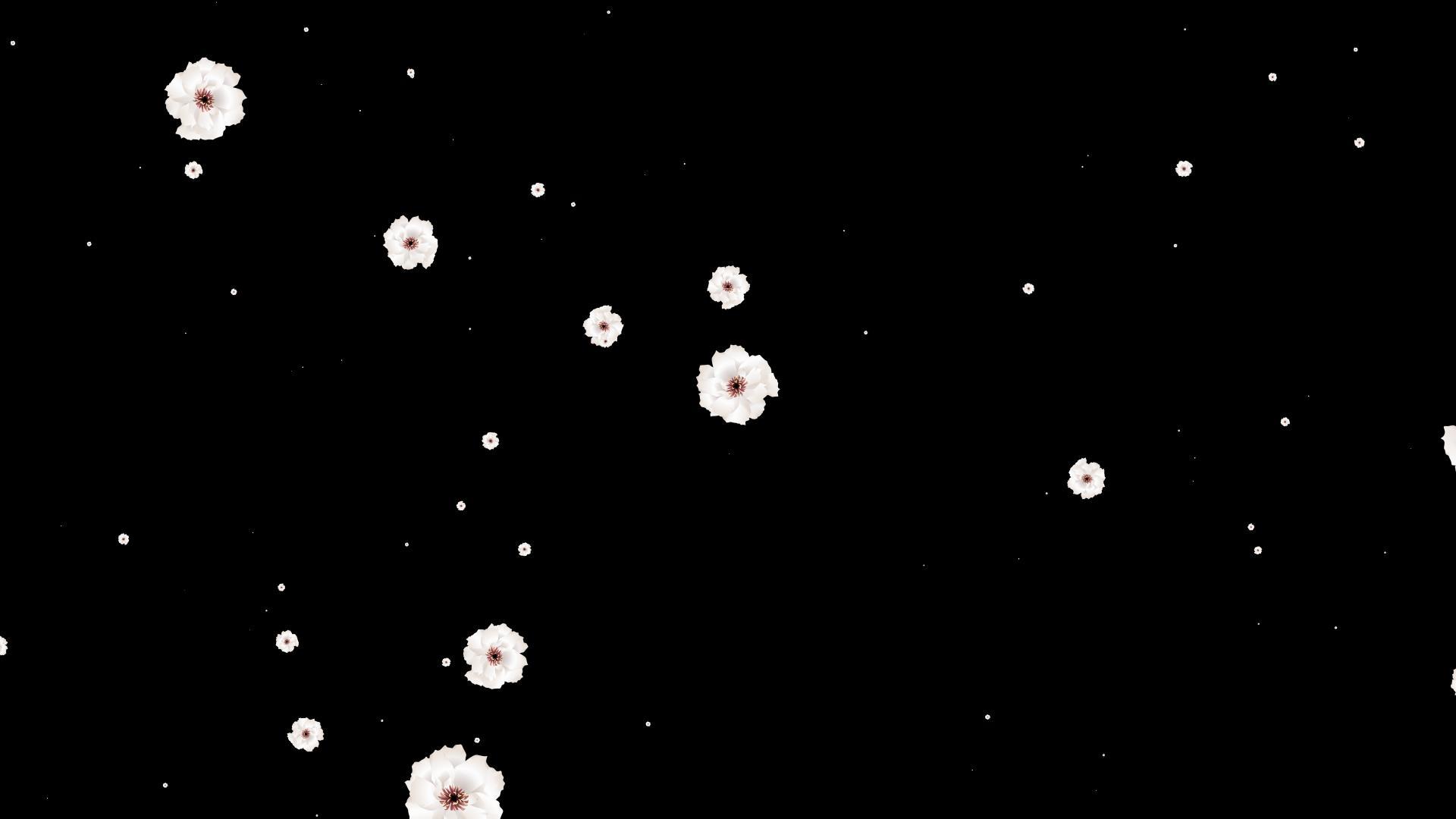 白色粒子花冲屏视频的预览图
