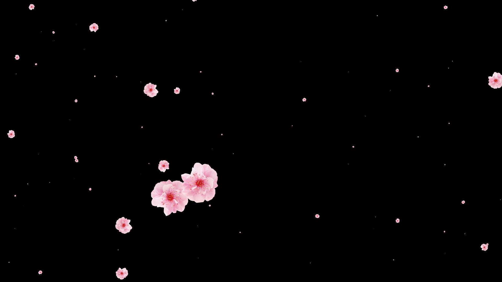 粉色粒子花冲屏视频的预览图