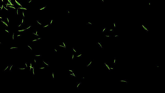 竹叶粒子漂浮下落视频的预览图
