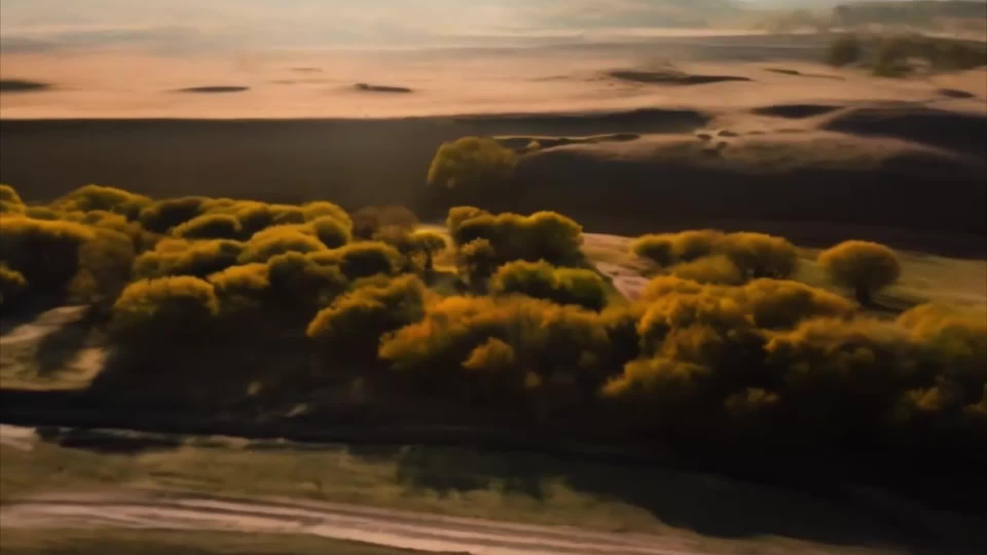 秋季乌兰布统美草原视频的预览图