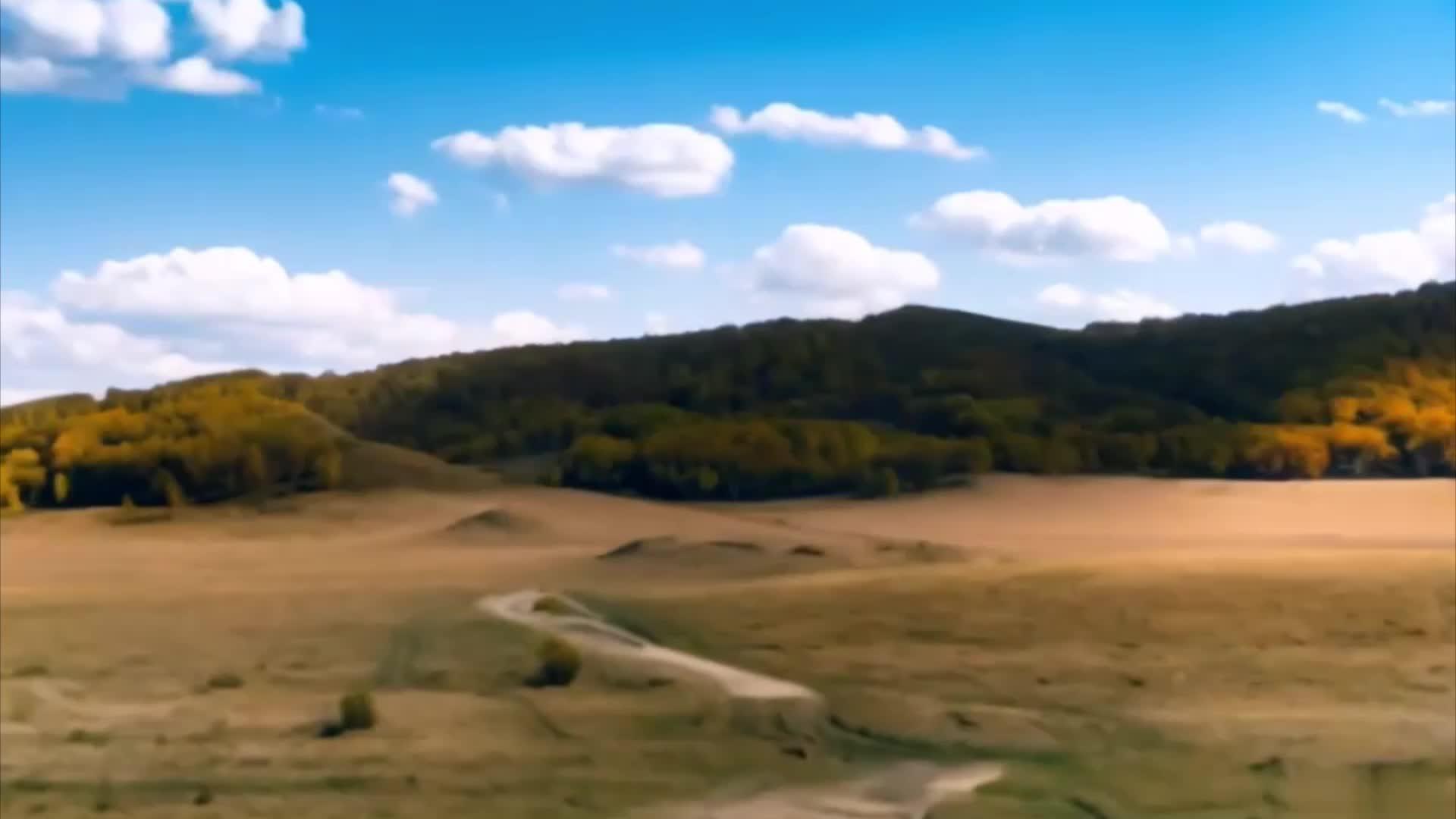 秋季乌兰布统草原视频的预览图