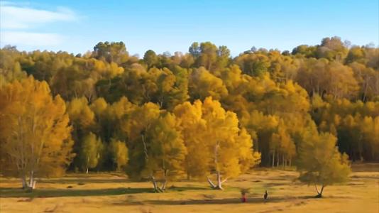 秋季乌兰布统自然风光视频的预览图