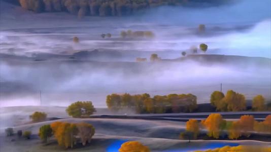秋季乌兰布统清晨雾蒙蒙视频的预览图