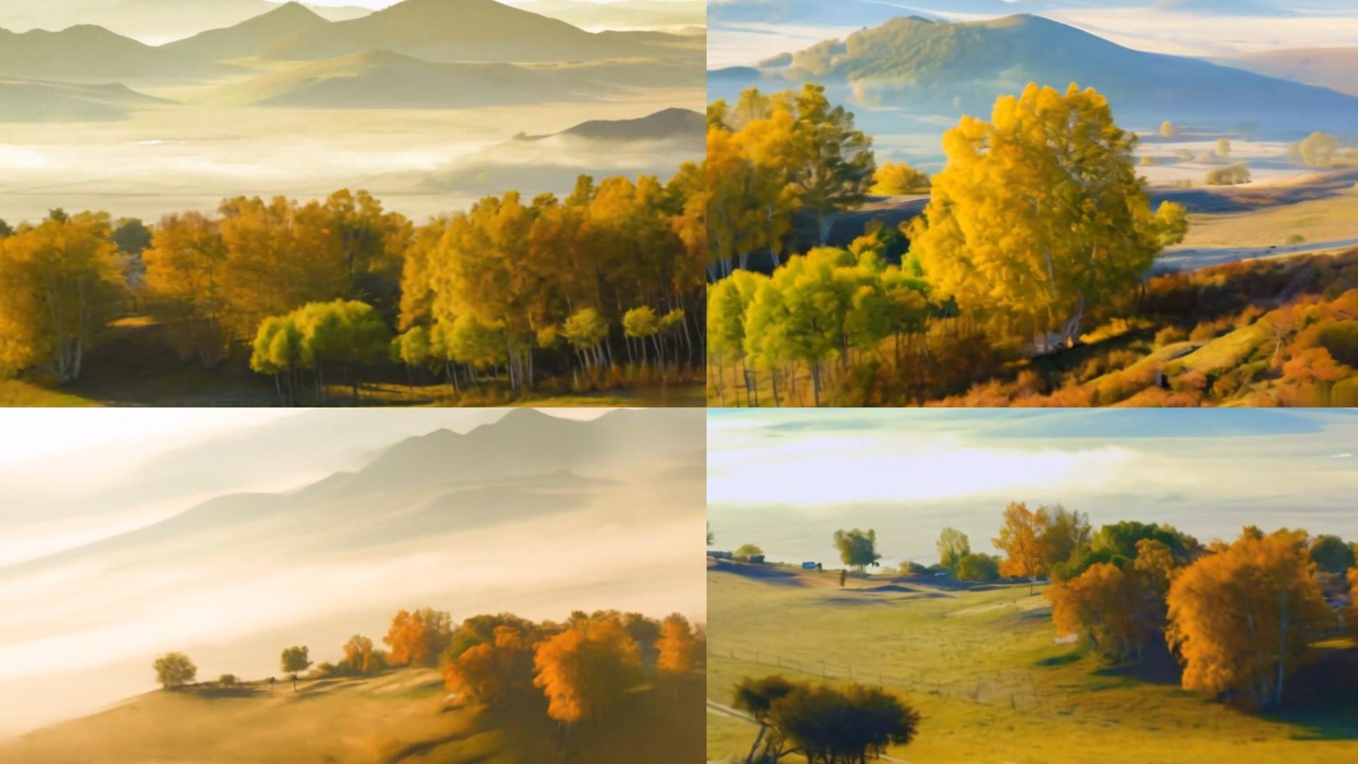 【收藏】秋季乌兰布统自然风光枯树视频的预览图