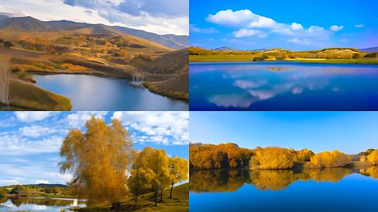 【收藏】秋季乌兰布统自然风光黄枯树湖泊视频的预览图