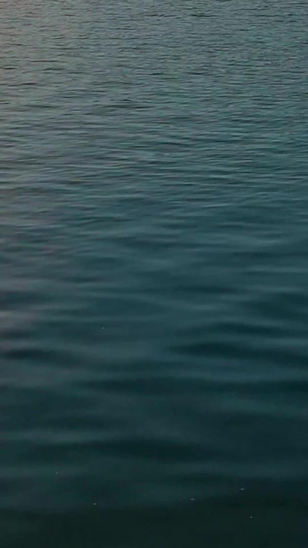 日落湖泊上野鸭游泳视频的预览图