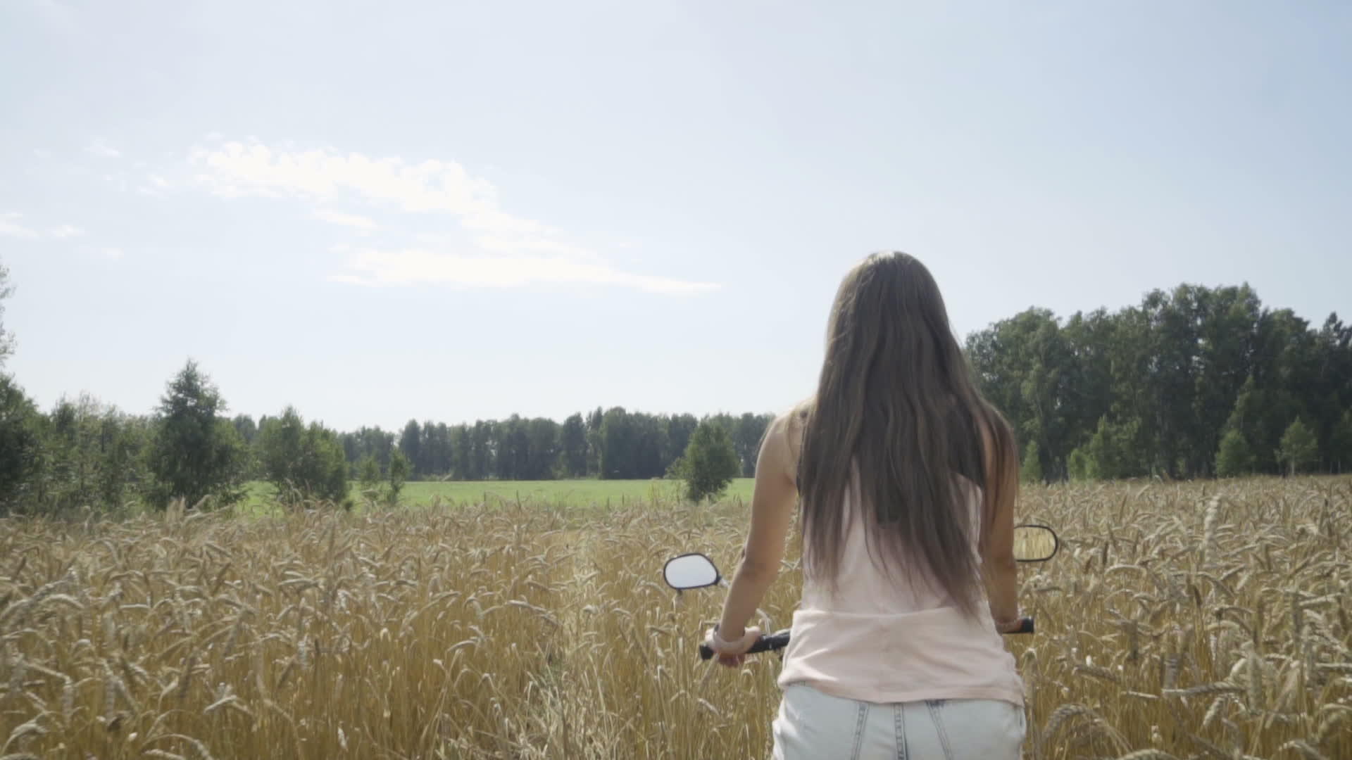 女人在小麦田里骑自行车视频的预览图