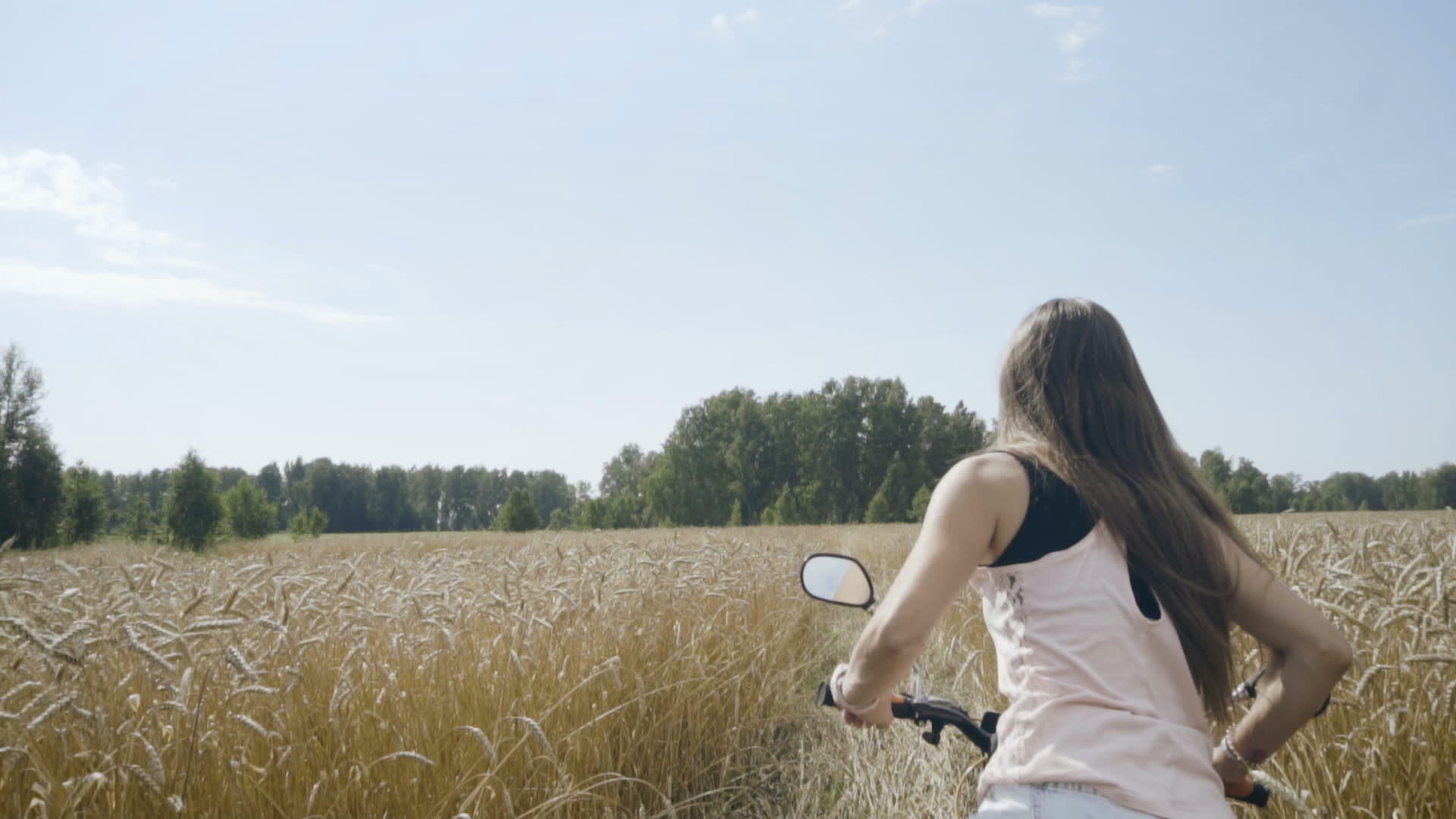 女人在小麦田里骑自行车视频的预览图