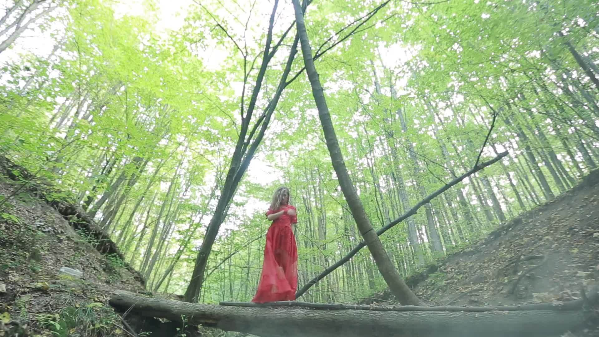 女人在神秘的森林里行走视频的预览图