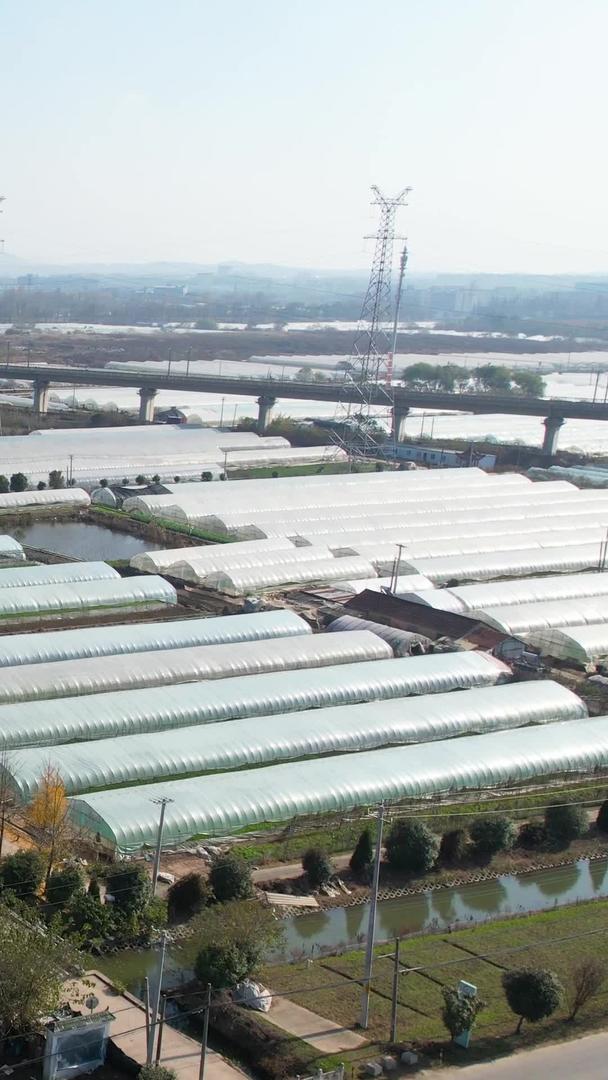 南京农业基地塑料大棚航拍视频的预览图