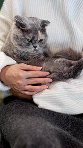 女性怀内抱着宠物猫咪视频的预览图