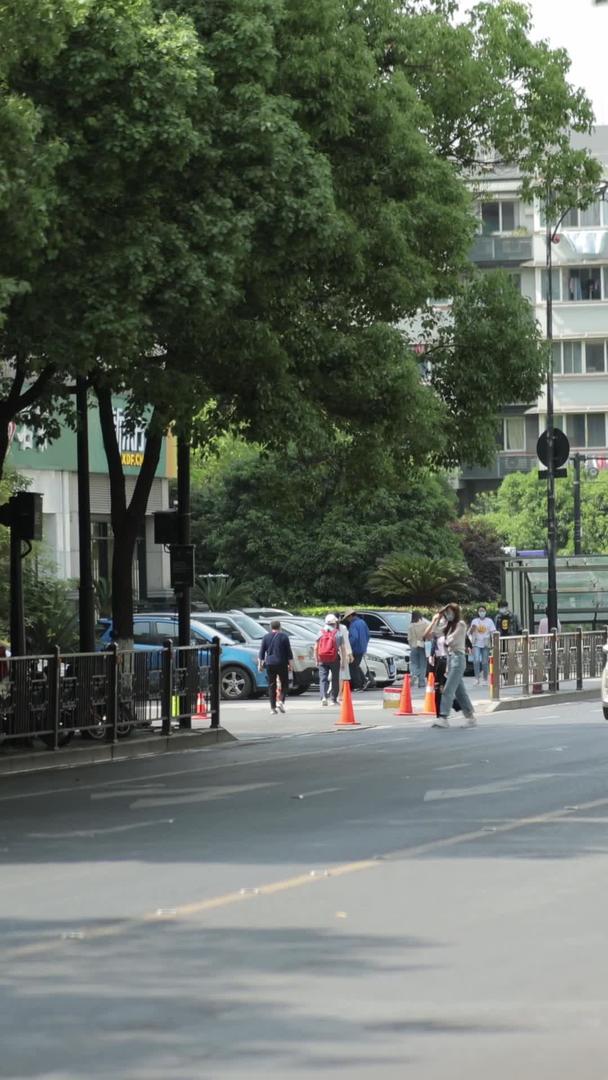 一些林荫路和树叶视频的预览图