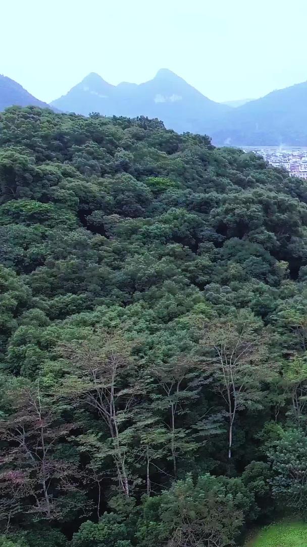 广东省清远市抱福山景区航拍视频的预览图