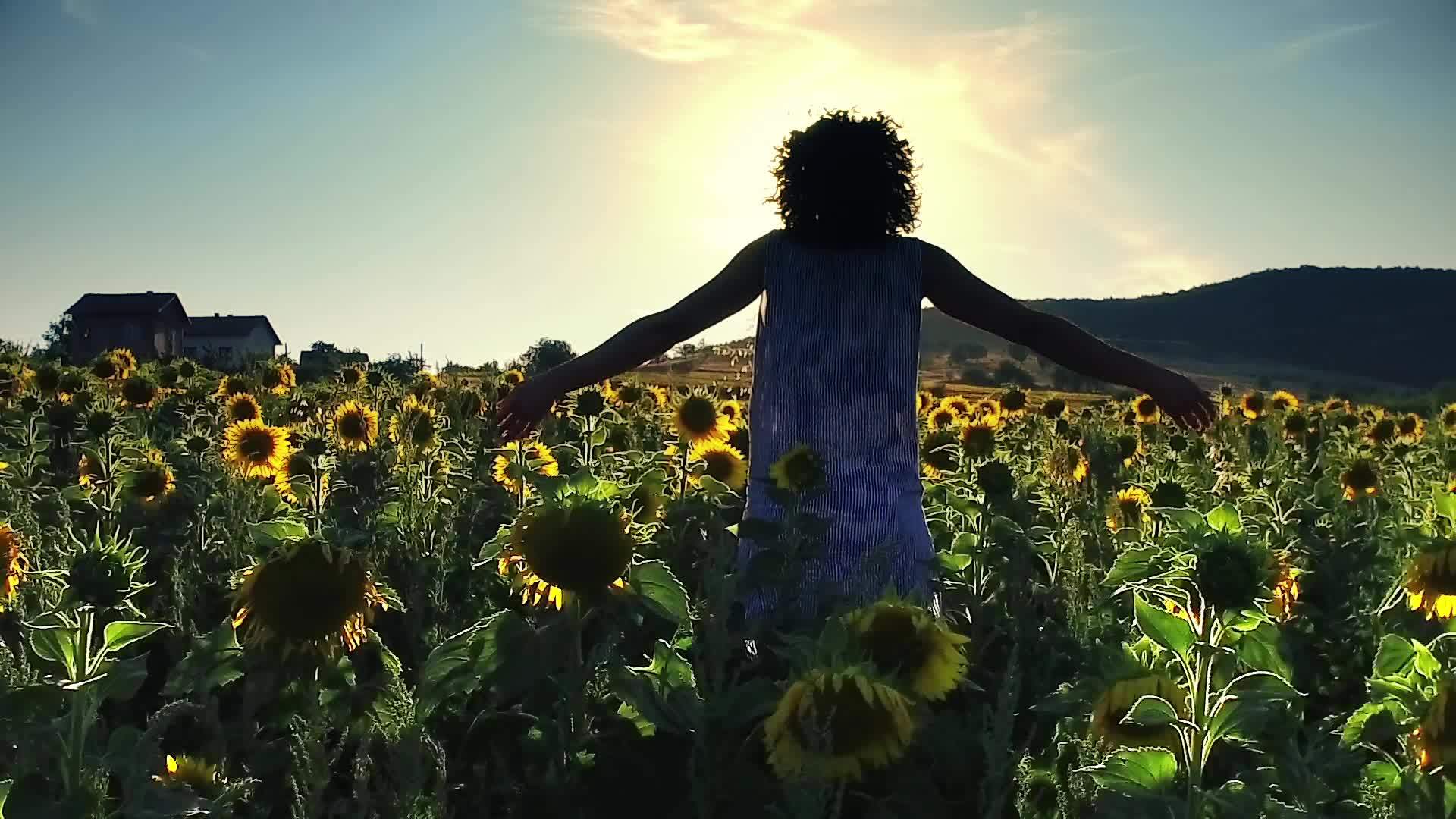 当向日葵收获时美丽的农民女孩在日落时双手张开自由和幸福视频的预览图