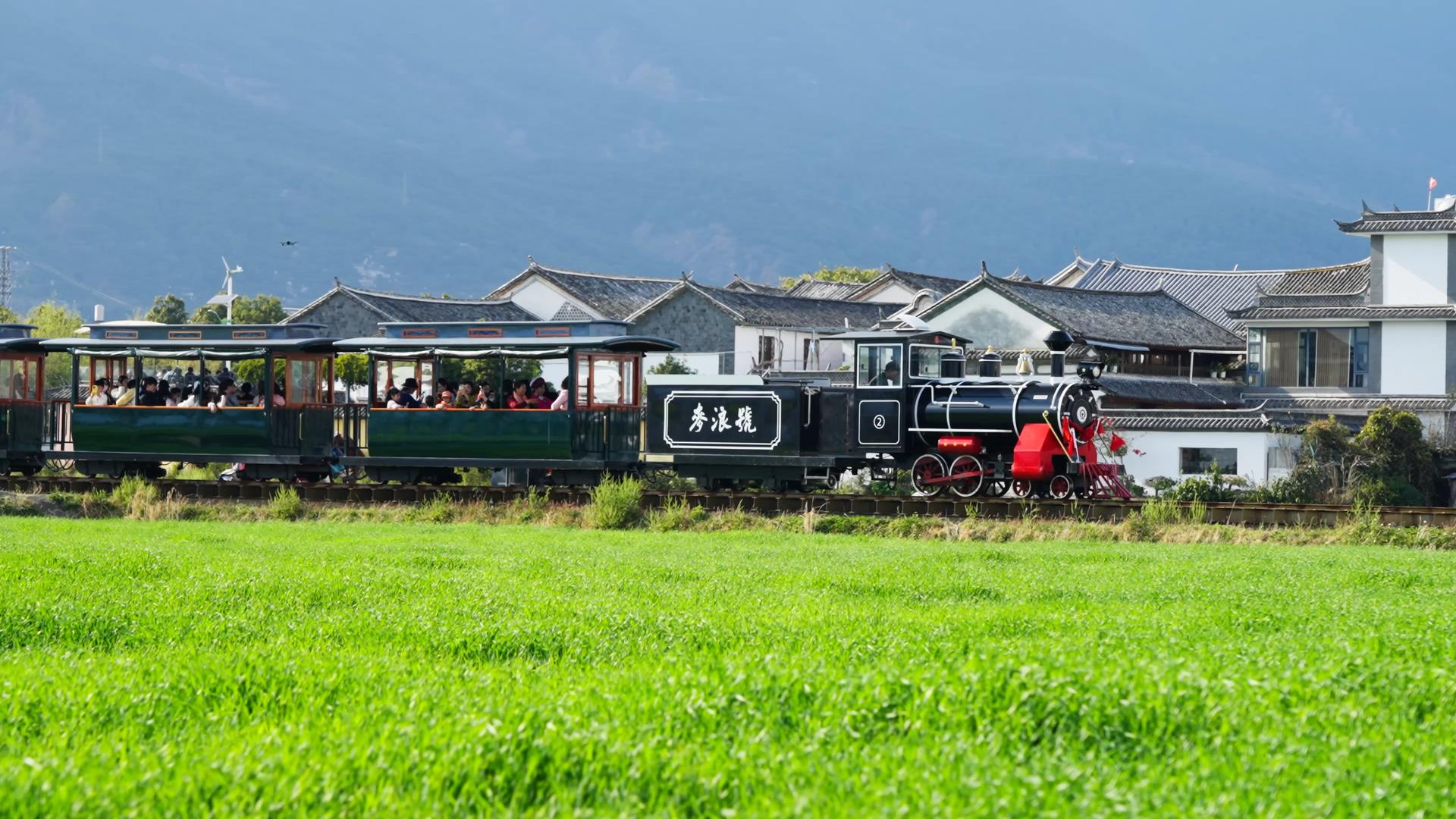 云南大理喜洲古镇麦田火车视频的预览图