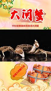 4K阳澄湖蟹垂直海报展示视频的预览图