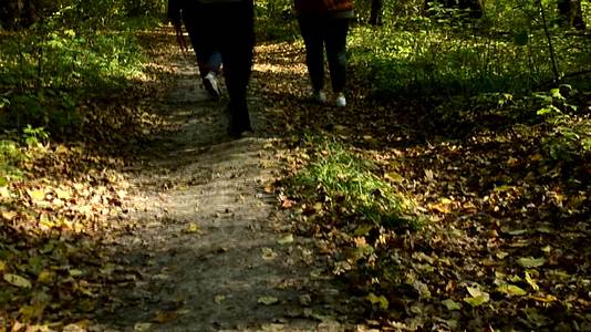 一群女孩在秋天的森林里带着一只狗在底部行走视频的预览图