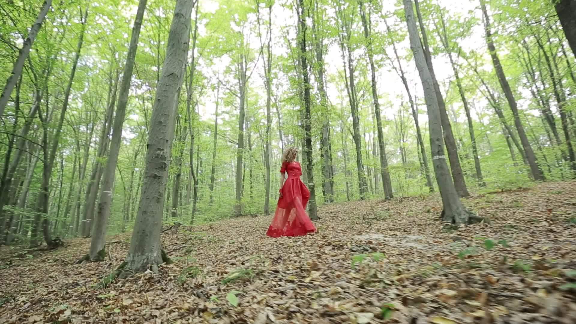 年轻女子在森林里行走视频的预览图