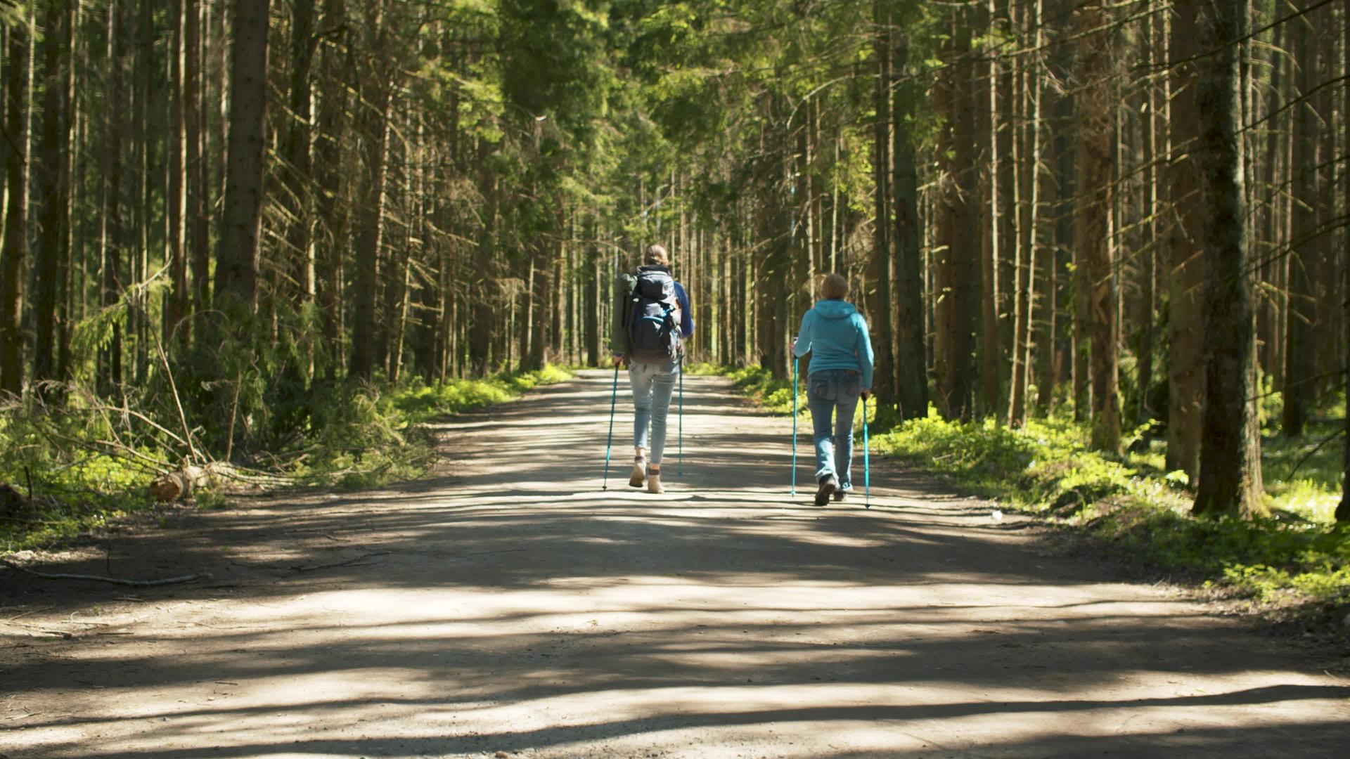 两个女人带着高柱在森林里行走视频的预览图