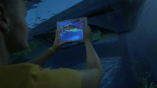 女人用垫子在水族馆拍摄海洋动物视频的预览图