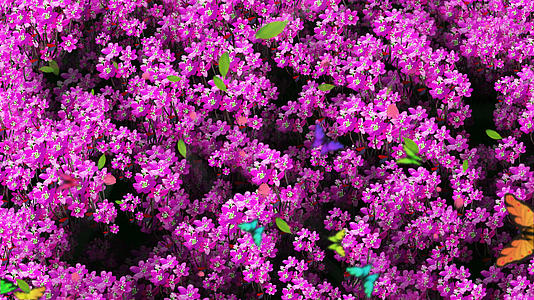 4K唯美的紫色小花背景素材视频的预览图