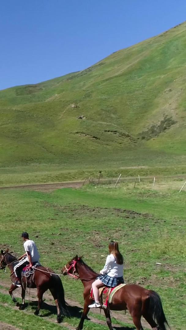 新疆天山脚下的草原航拍视频的预览图