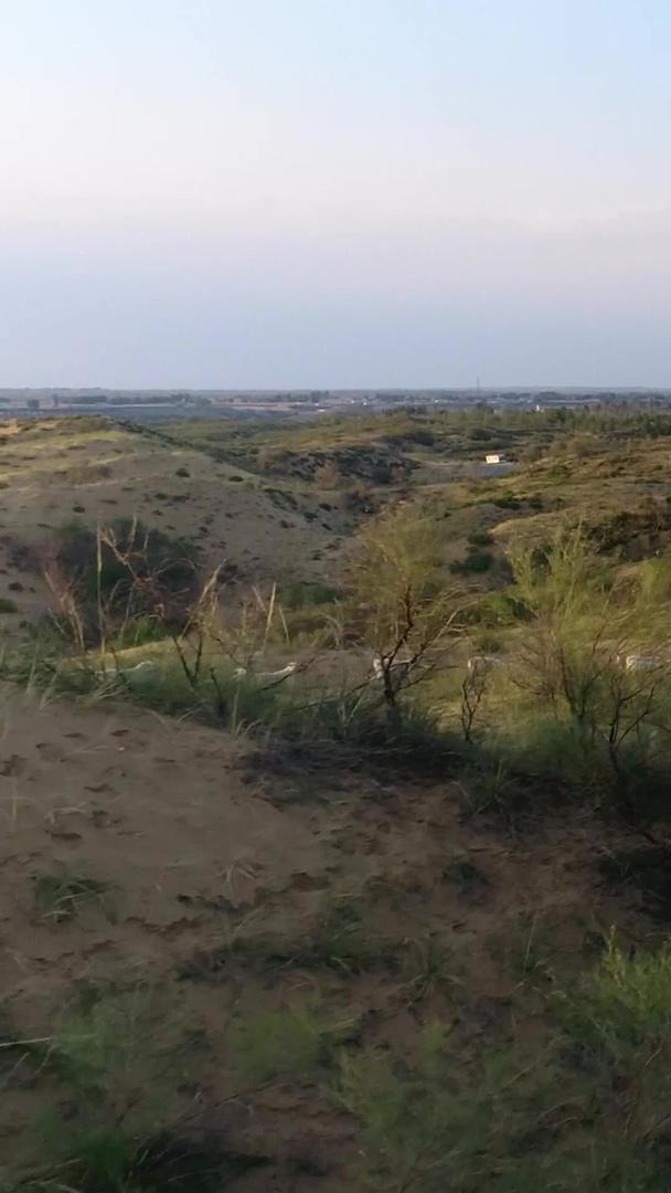 非法放牧沙漠地区的航拍视频的预览图