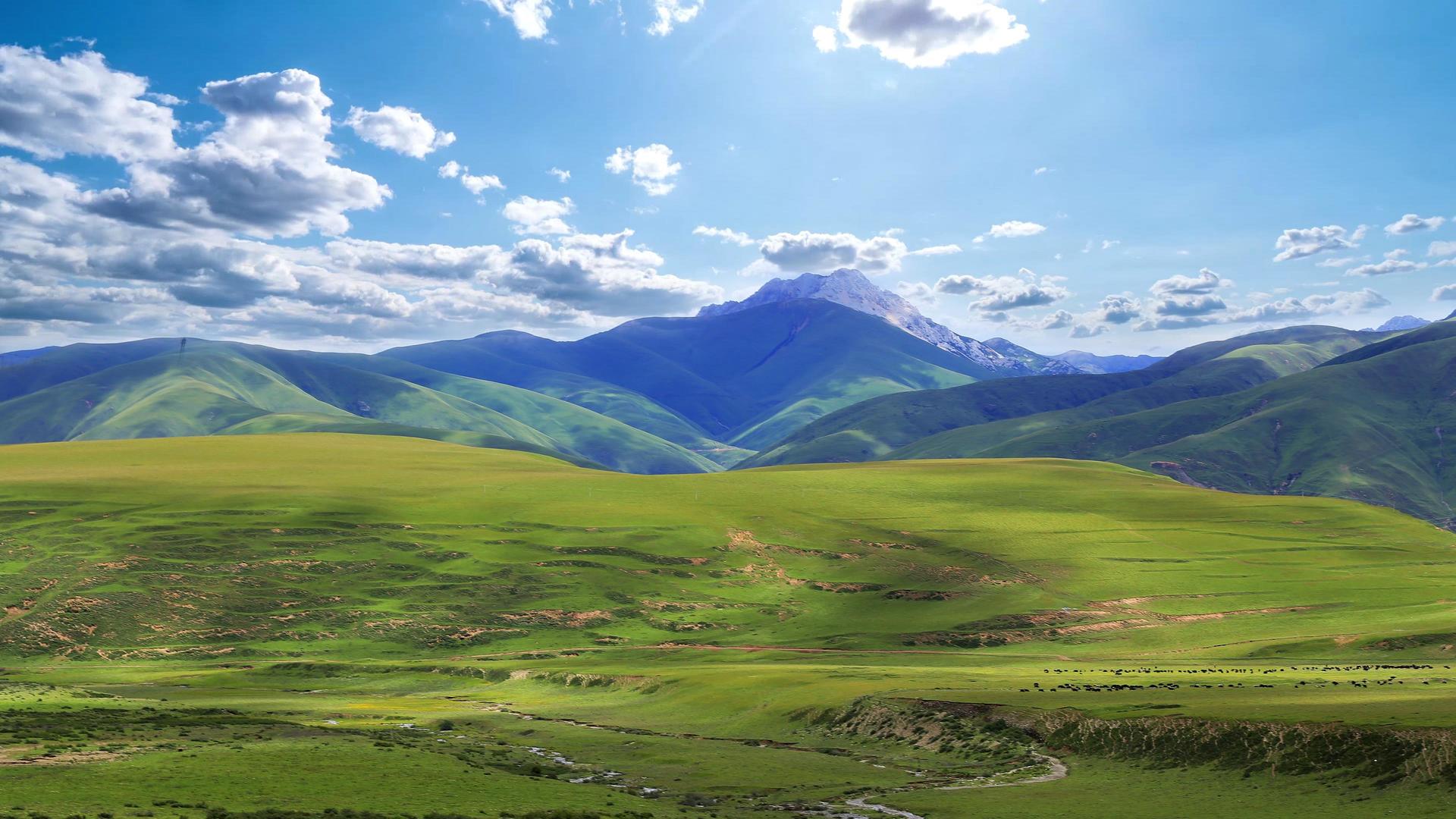 延绵辽阔的西藏草地自然风光视频的预览图