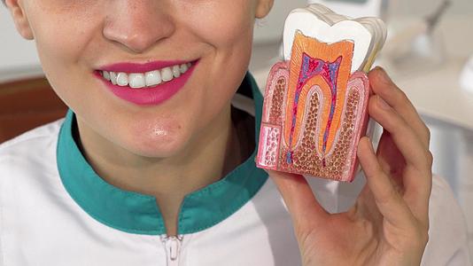 在镜头前女牙医微笑着拿着牙齿模型视频的预览图