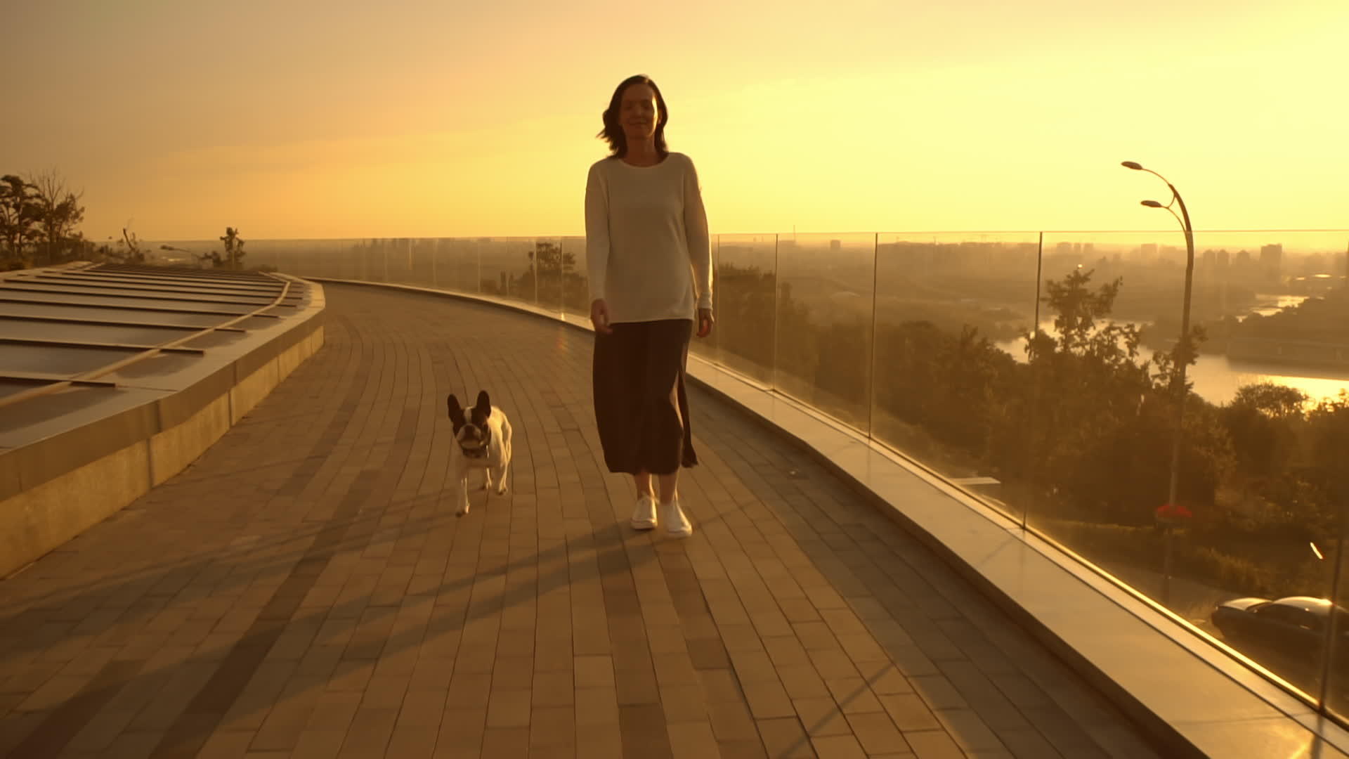 一个女人走着她的狗视频的预览图