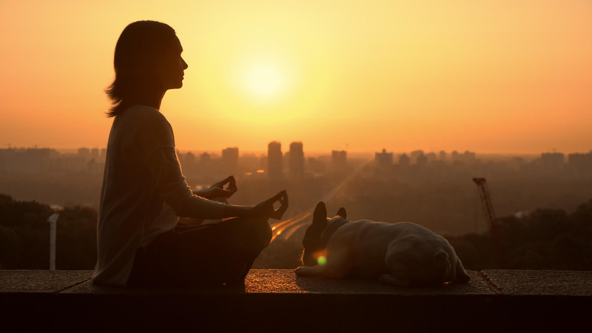 一位女冥想家坐在高处和她的宠物坐在一起视频的预览图