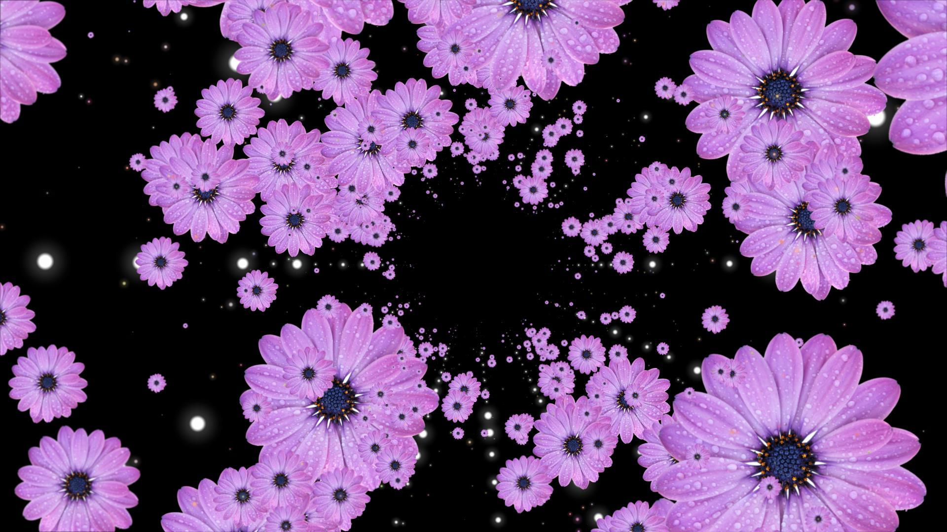 穿梭花瓣空间视频的预览图