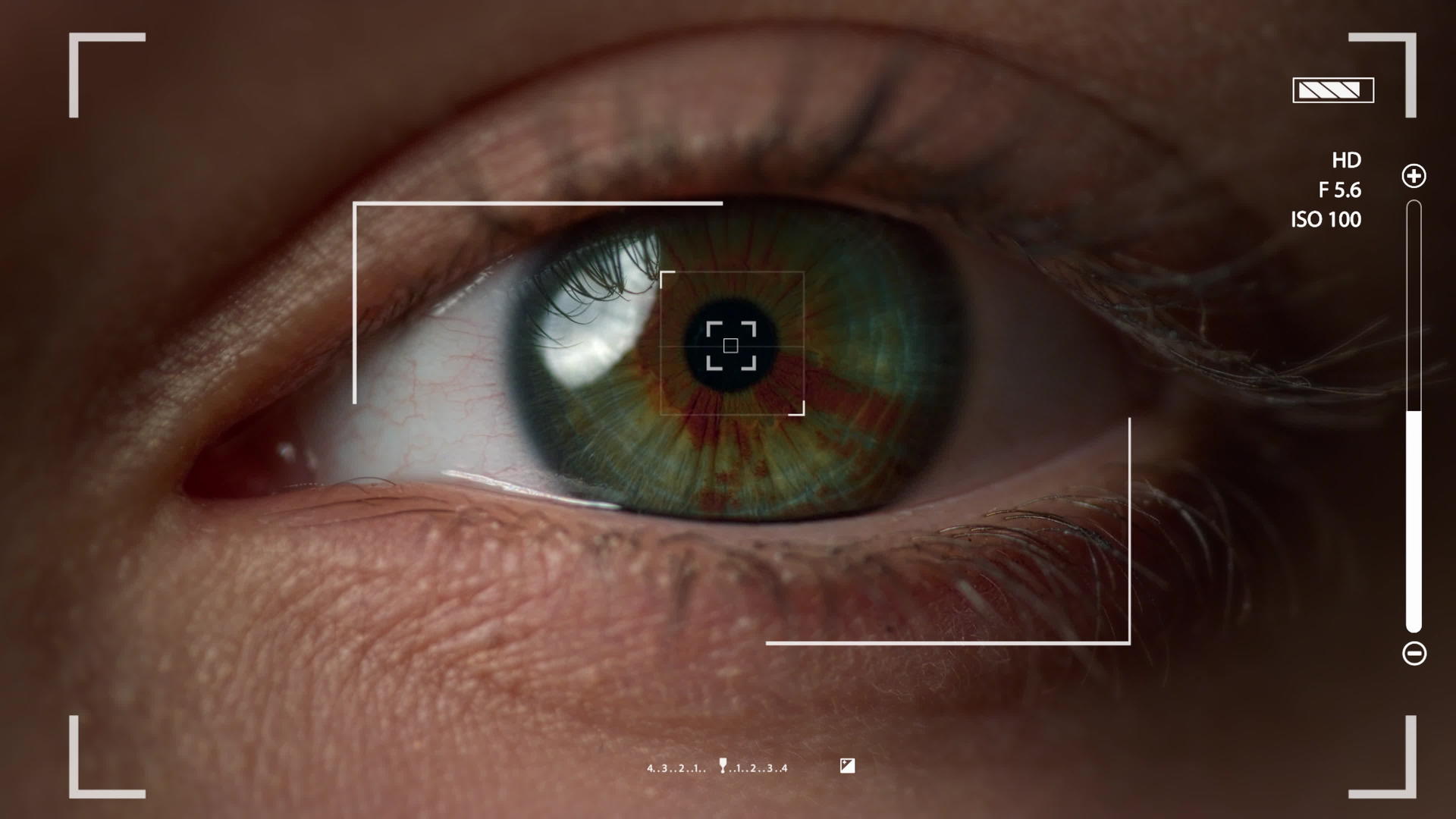 检查用户视网膜拍摄验证的宏观眼部识别系统视频的预览图