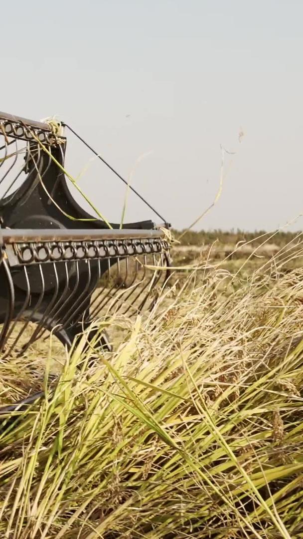 收割机在田野里收割水稻视频的预览图