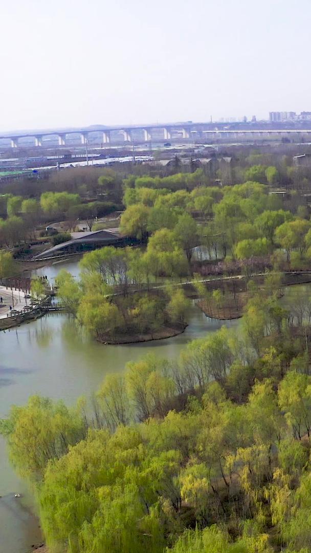 湿地公园航拍视频的预览图